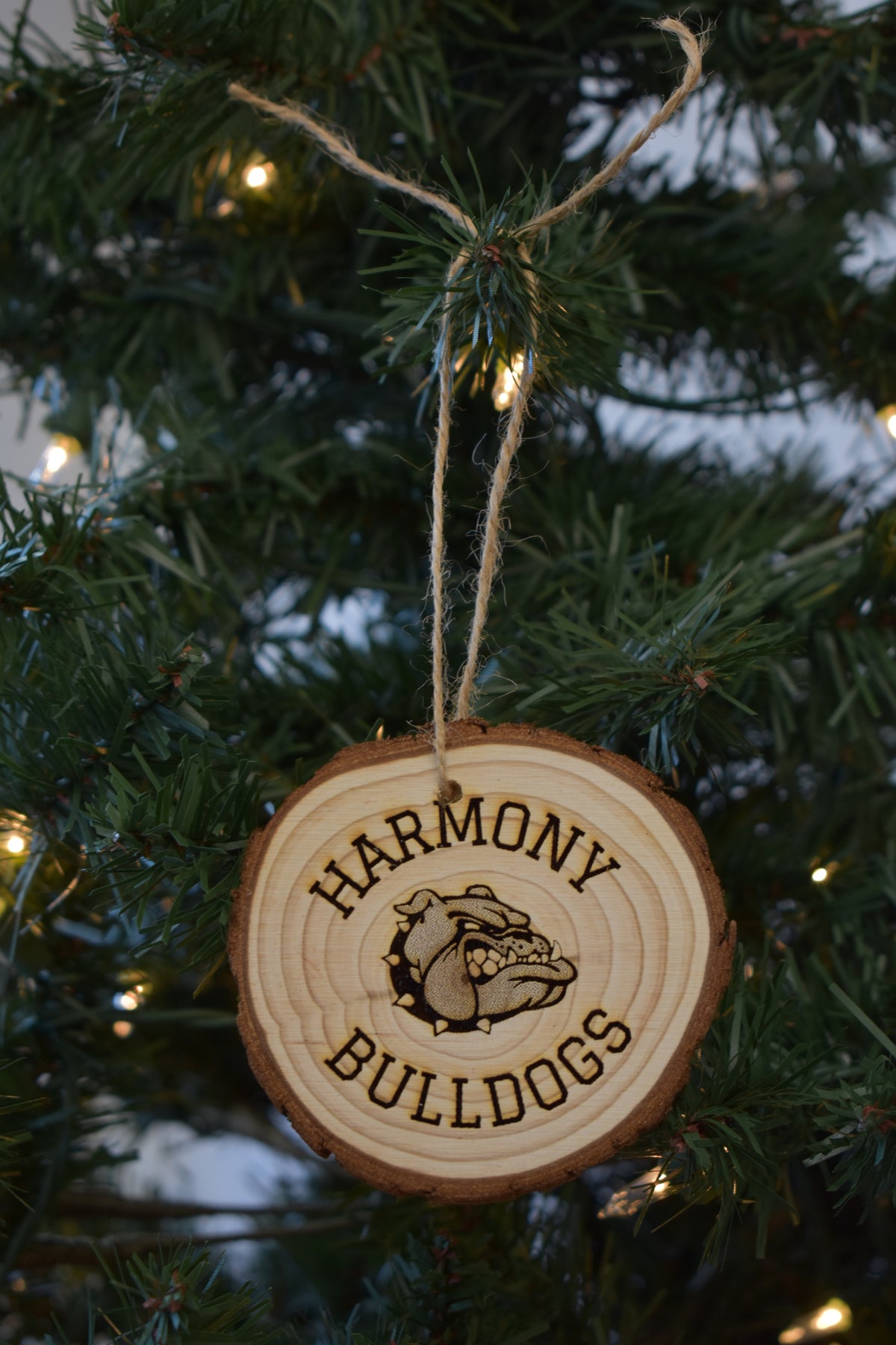 Christmas Ornament